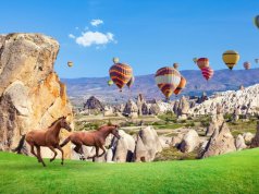 Экскурсии на лошадках