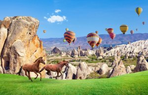 Экскурсии на лошадках